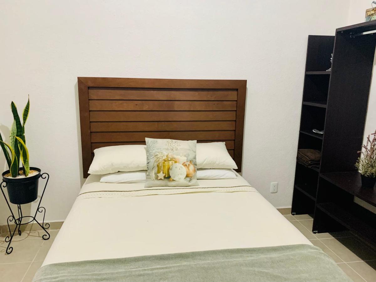 Franks House Luxury Apartment "Shared House" Cancún Eksteriør bilde
